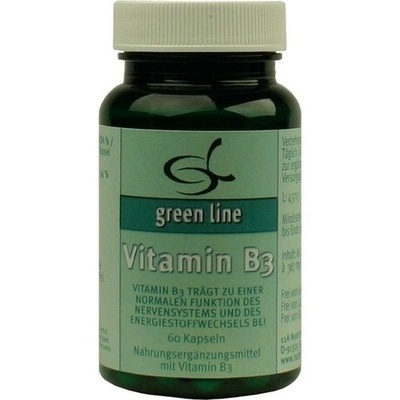 VITAMIN B3 (NUTRITHEKE GMBH), 60 КАПСУЛ